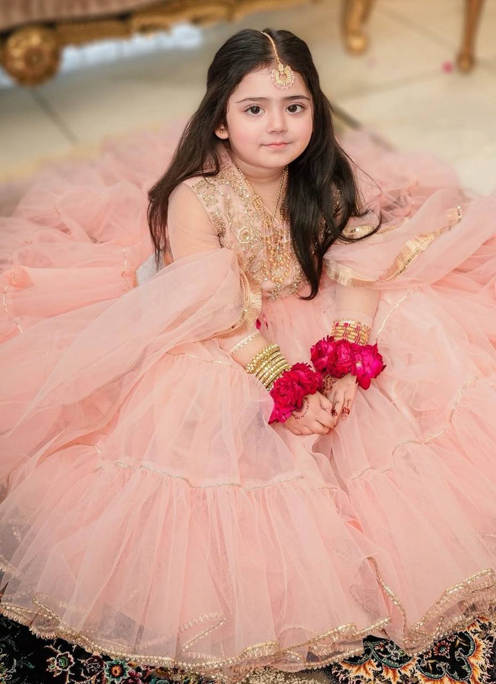 Tiny Twirls With Butterfly Net Ready to Wear Flair Lehenga-Choli Set