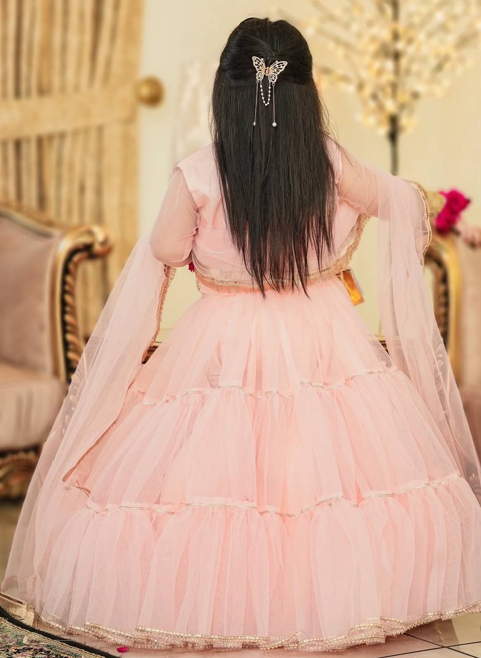 Tiny Twirls With Butterfly Net Ready to Wear Flair Lehenga-Choli Set