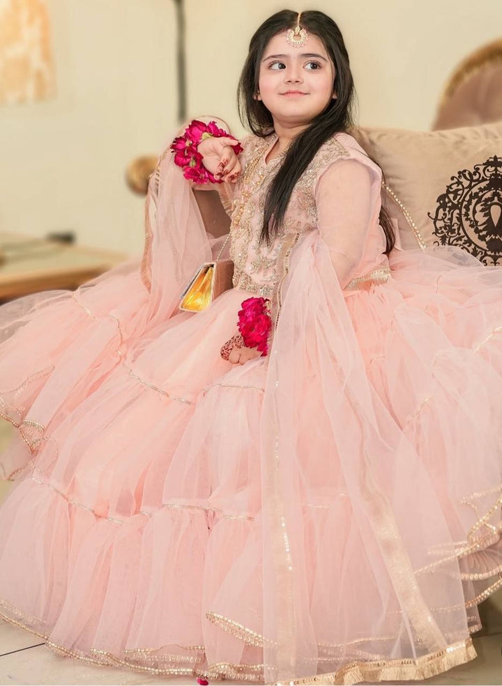 Tiny Twirls With Butterfly Net Ready to Wear Flair Lehenga-Choli Set