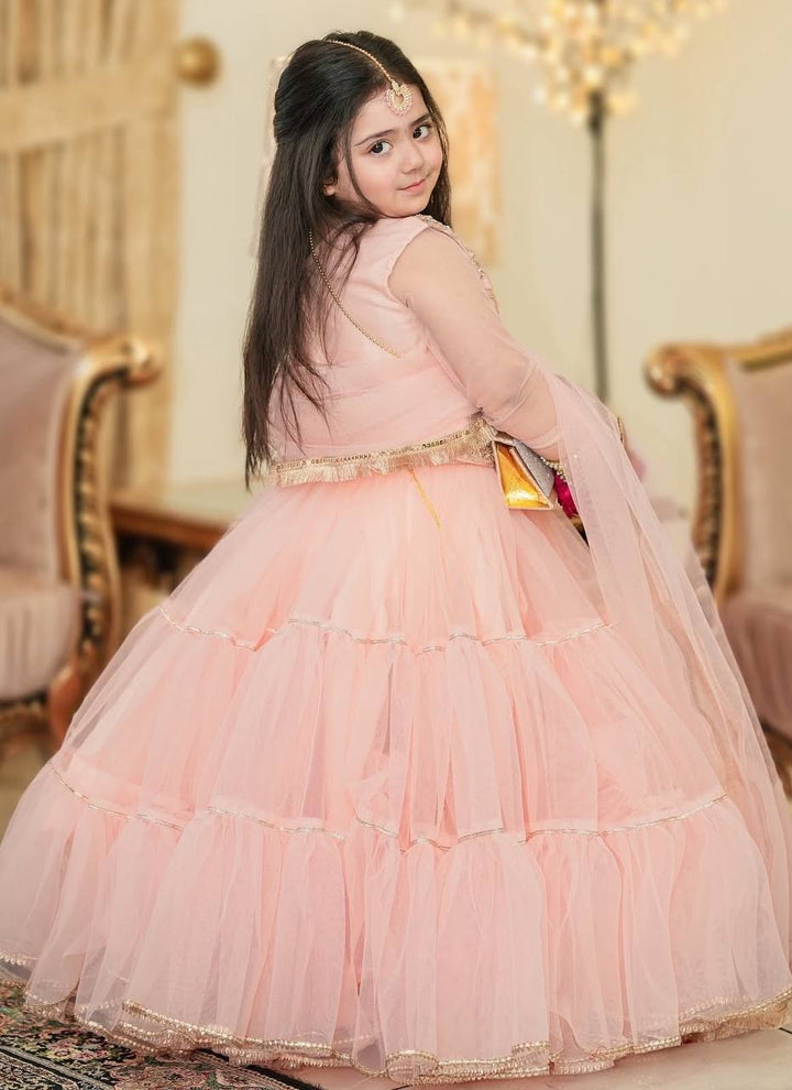 Tiny Twirls With Butterfly Net Ready to Wear Flair Lehenga-Choli Set