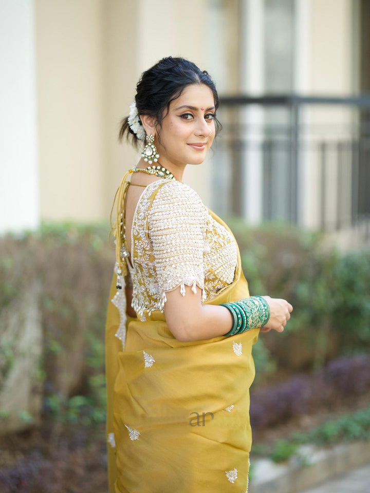 Soft Tebby Silk Saree with Sequins & Cording Embroidery