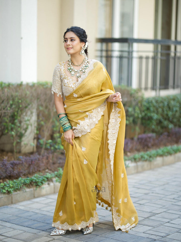 Soft Tebby Silk Saree with Sequins & Cording Embroidery