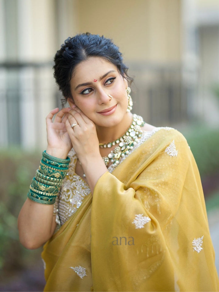 Soft Tebby Silk Saree with Sequins & Cording Embroidery