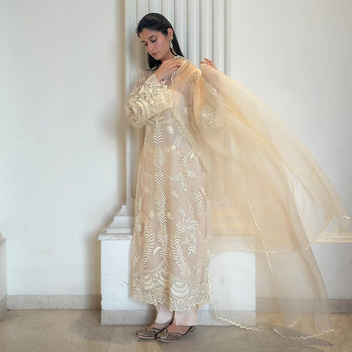 Elegant Heavy Net Embroidered Suit Set