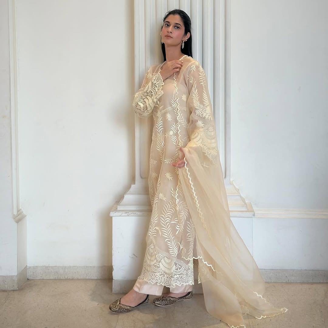 Elegant Heavy Net Embroidered Suit Set