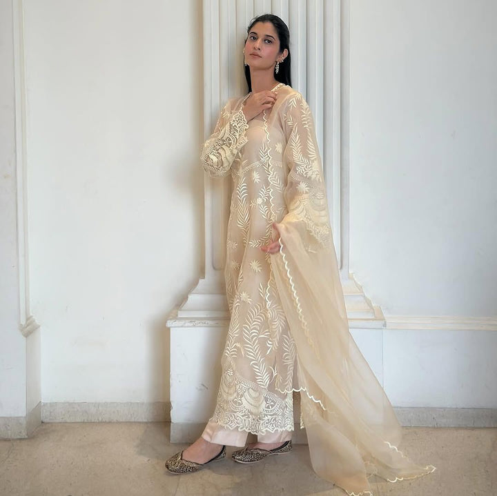 Elegant Heavy Net Embroidered Suit Set