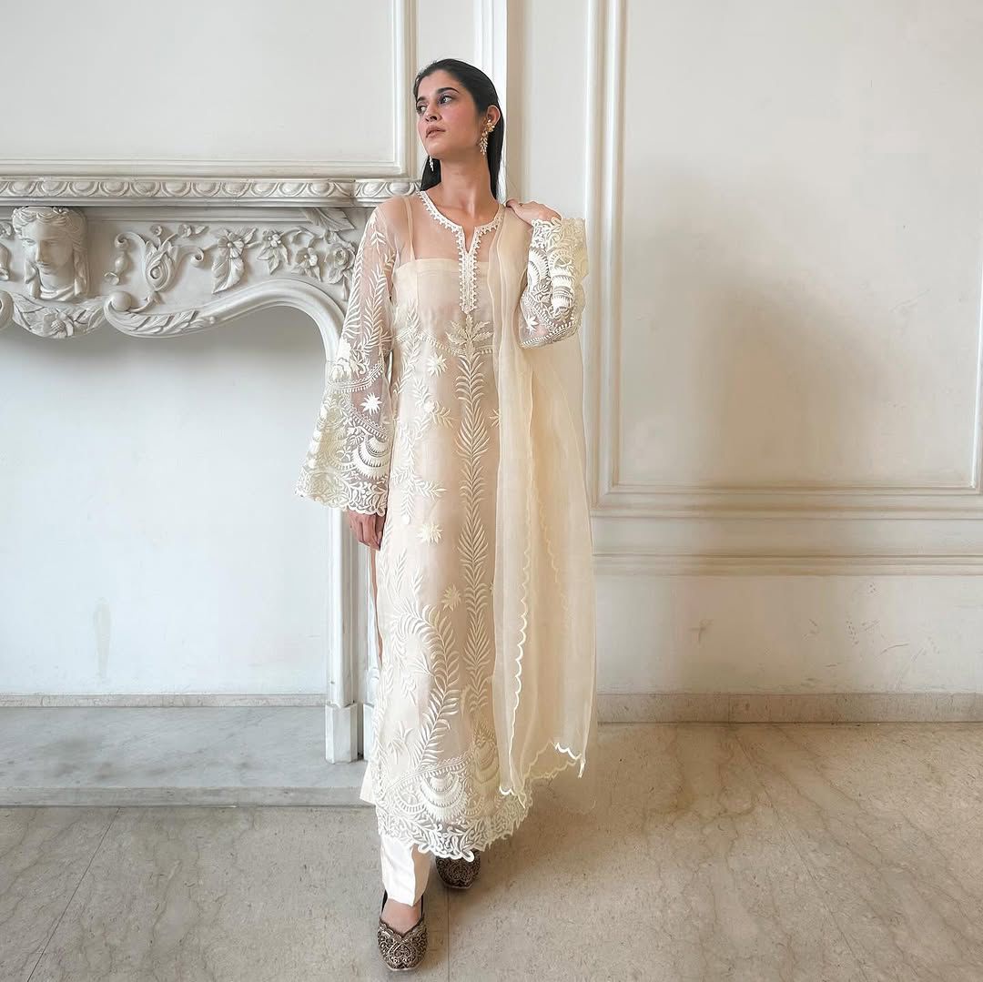 Elegant Heavy Net Embroidered Suit Set