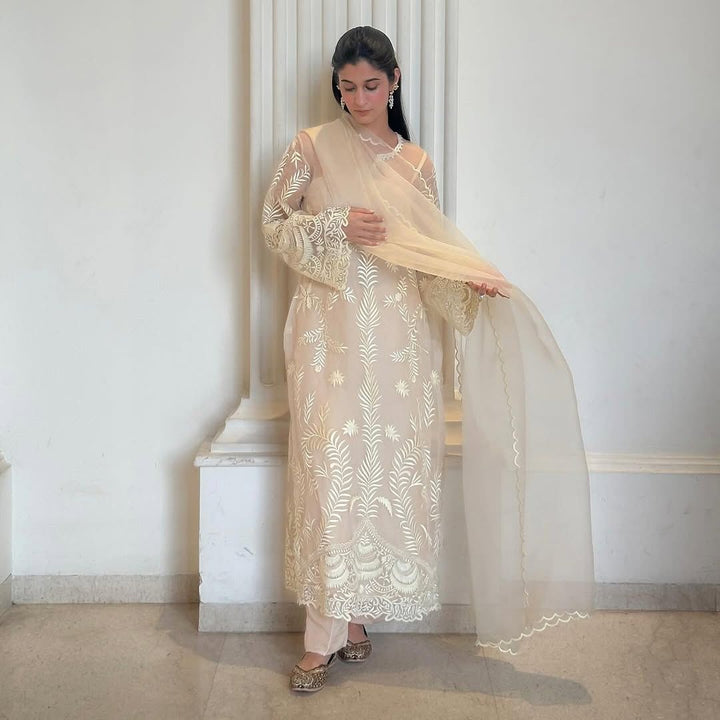 Elegant Heavy Net Embroidered Suit Set