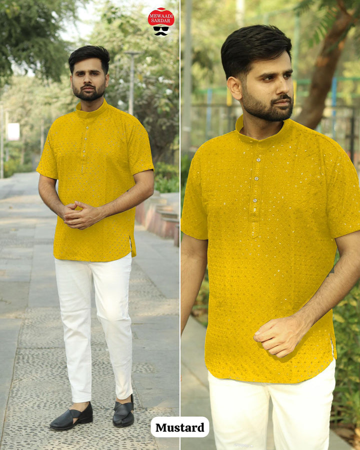 Stylish Short Kurta in Chikan Work Fabric