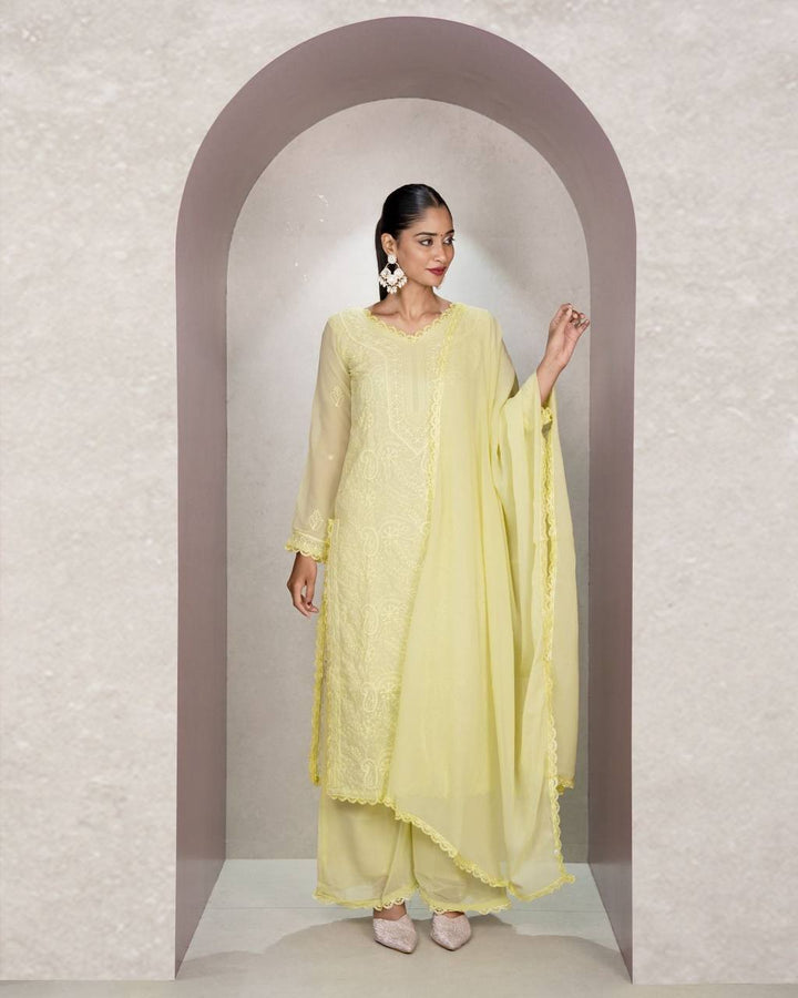 Elegant Chikankari embroidery Fox Georgette Kurta Set